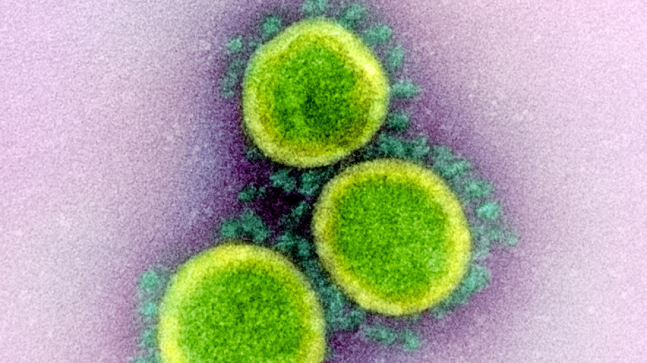 Над 560 починали от коронавируса във Великобритания през последното денонощие