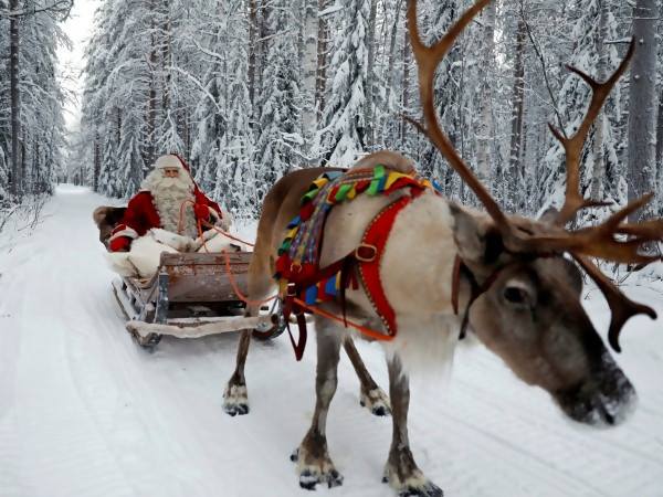 Дядо Коледа и впрягът му с елени пристига от Лапландия