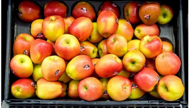 Великобритания: Очаква се дефицит на ябълки и круши след дефицита на зеленчуци